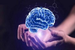 脑科学新技术———经颅磁